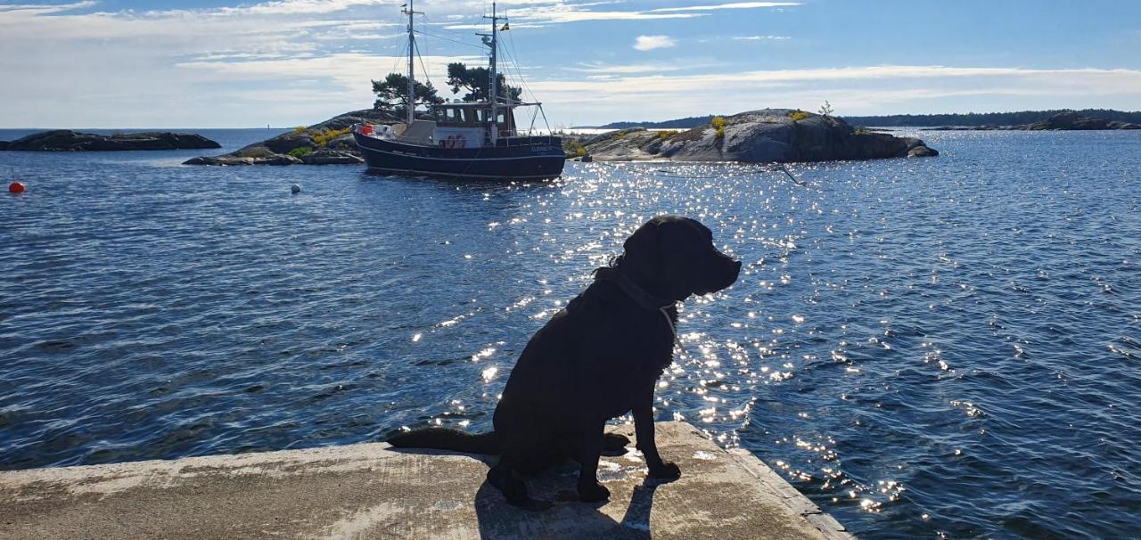 Moeja Stuga I Stockholms Skaergard エクステリア 写真